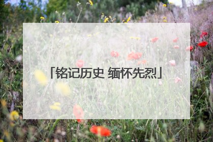 铭记历史 缅怀先烈