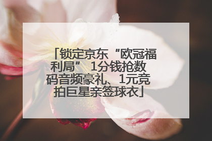 锁定京东“欧冠福利局” 1分钱抢数码音频豪礼、1元竞拍巨星亲签球衣