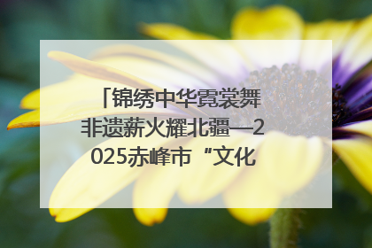 锦绣中华霓裳舞 非遗薪火耀北疆—2025赤峰市“文化和自然遗产日”非遗宣传展示活动纪实