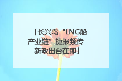 长兴岛“LNG船产业链”捷报频传 新政出台在即