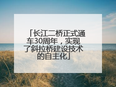 长江二桥正式通车30周年，实现了斜拉桥建设技术的自主化
