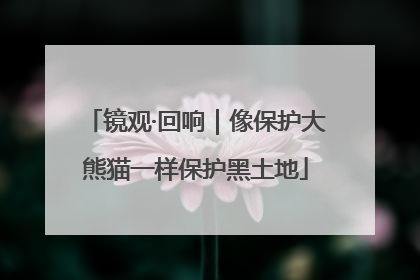 镜观·回响｜像保护大熊猫一样保护黑土地