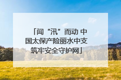 闻“汛”而动 中国太保产险丽水中支筑牢安全守护网