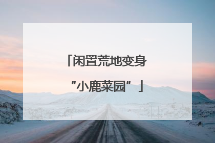 闲置荒地变身“小鹿菜园”