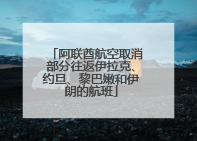 阿联酋航空取消部分往返伊拉克、约旦、黎巴嫩和伊朗的航班