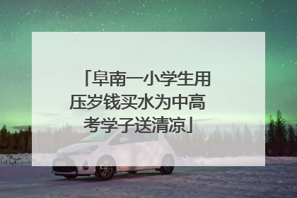 阜南一小学生用压岁钱买水为中高考学子送清凉