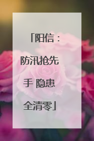 阳信：防汛抢先手 隐患全清零