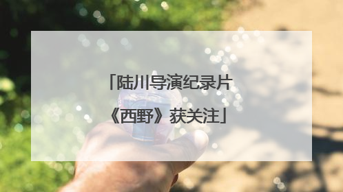 陆川导演纪录片《西野》获关注