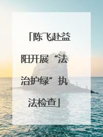 陈飞赴益阳开展“法治护绿”执法检查