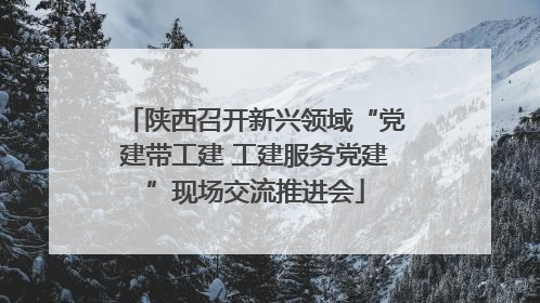 陕西召开新兴领域“党建带工建 工建服务党建”现场交流推进会