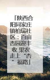 陕西合阳同家庄镇柏瑞社区：百亩杏园迎丰收 果农走上“杏”福路