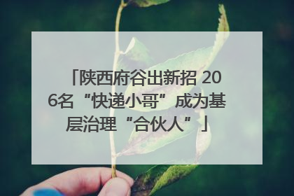 陕西府谷出新招 206名“快递小哥”成为基层治理“合伙人”