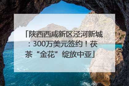 陕西西咸新区泾河新城：300万美元签约！茯茶“金花”绽放中亚