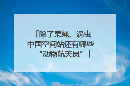 除了果蝇、涡虫 中国空间站还有哪些“动物航天员”