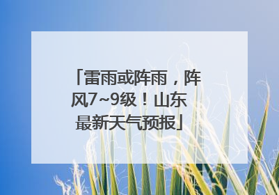 雷雨或阵雨，阵风7~9级！山东最新天气预报