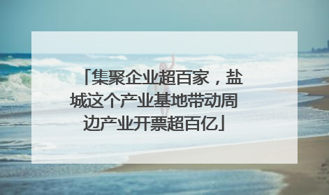 集聚企业超百家，盐城这个产业基地带动周边产业开票超百亿