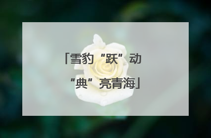 雪豹“跃”动 “典”亮青海