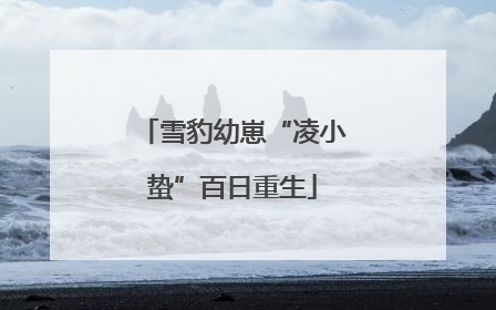 雪豹幼崽“凌小蛰”百日重生