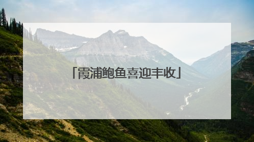 霞浦鲍鱼喜迎丰收