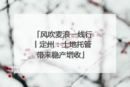风吹麦浪一线行丨定州：土地托管带来稳产增收