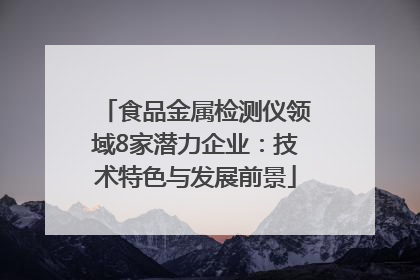 食品金属检测仪领域8家潜力企业：技术特色与发展前景