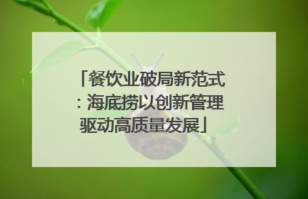 餐饮业破局新范式：海底捞以创新管理驱动高质量发展