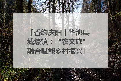 香约庆阳｜华池县城壕镇：“农文旅”融合赋能乡村振兴