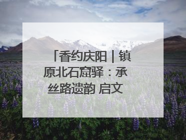 香约庆阳｜镇原北石窟驿：承丝路遗韵 启文旅创新篇章