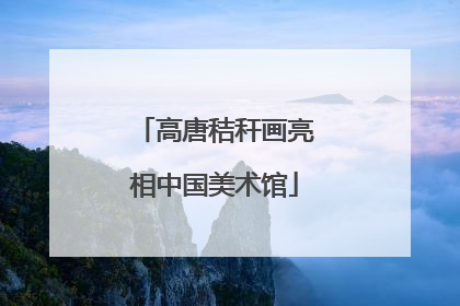高唐秸秆画亮相中国美术馆