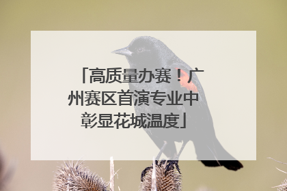 高质量办赛！广州赛区首演专业中彰显花城温度