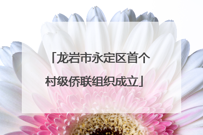 龙岩市永定区首个村级侨联组织成立