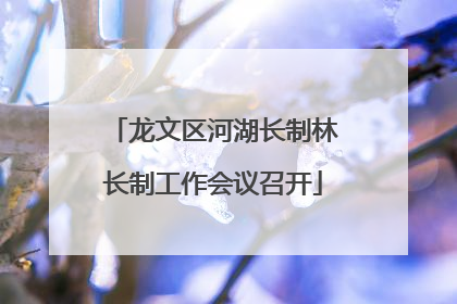 龙文区河湖长制林长制工作会议召开