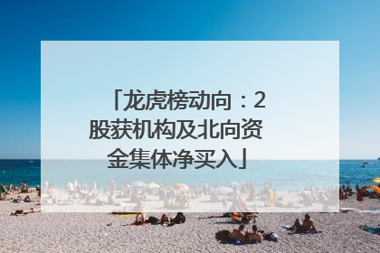 龙虎榜动向：2股获机构及北向资金集体净买入