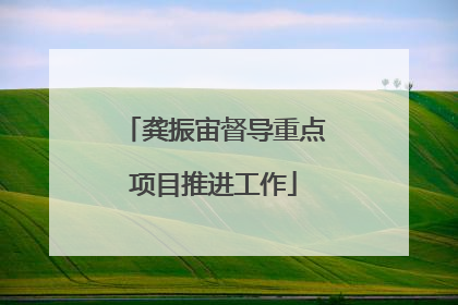 龚振宙督导重点项目推进工作