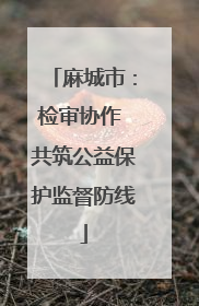 麻城市：检审协作 共筑公益保护监督防线