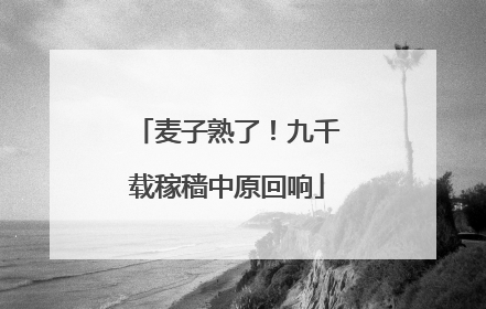 麦子熟了！九千载稼穑中原回响