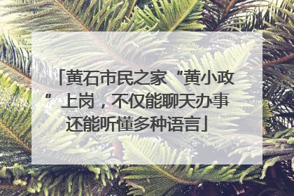 黄石市民之家“黄小政”上岗，不仅能聊天办事还能听懂多种语言