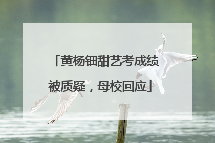 黄杨钿甜艺考成绩被质疑，母校回应