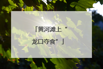 黄河滩上“龙口夺食”