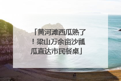 黄河滩西瓜熟了！梁山万余亩沙瓤瓜直达市民餐桌