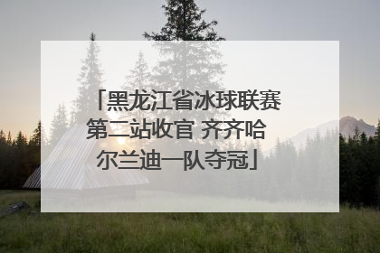 黑龙江省冰球联赛第二站收官 齐齐哈尔兰迪一队夺冠