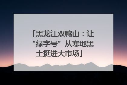 黑龙江双鸭山：让“绿字号”从寒地黑土挺进大市场