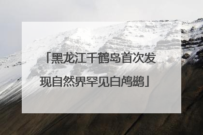 黑龙江千鹤岛首次发现自然界罕见白鸬鹚