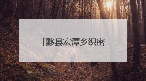 黟县宏潭乡织密防汛安全网 打好防汛主动仗
