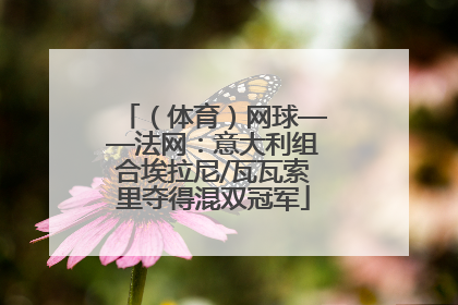 （体育）网球——法网：意大利组合埃拉尼/瓦瓦索里夺得混双冠军