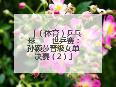 （体育）乒乓球——世乒赛：孙颖莎晋级女单决赛（2）