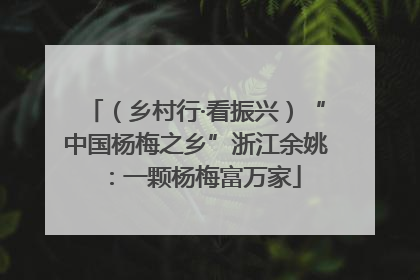 （乡村行·看振兴）“中国杨梅之乡”浙江余姚：一颗杨梅富万家