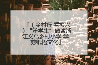 （乡村行·看振兴）“洋学生”做客浙江义乌乡村小学 学剪纸悟文化