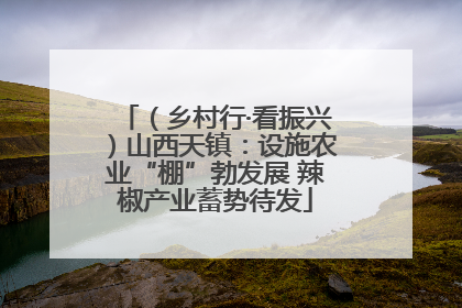 （乡村行·看振兴）山西天镇：设施农业“棚”勃发展 辣椒产业蓄势待发