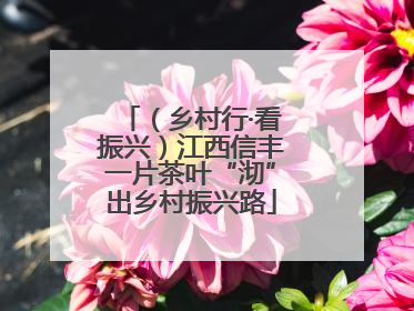 （乡村行·看振兴）江西信丰一片茶叶“沏”出乡村振兴路